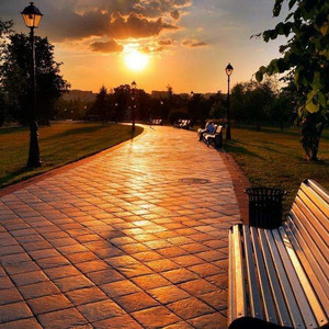 植物大战僵尸黄色本子在线观看
