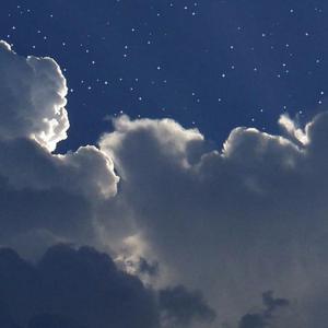 植物大战僵尸黄色本子在线观看
